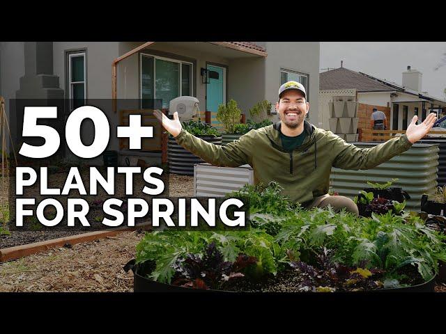 50+ Plants I'm Growing In My Spring Garden   