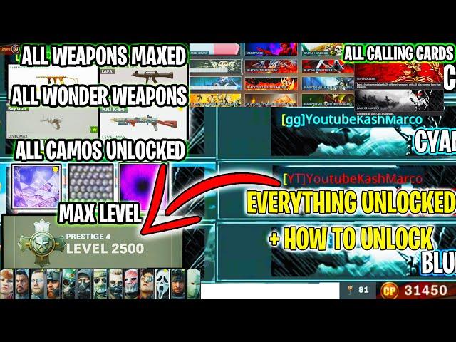 EVERYTHING UNLOCKED in BLACK OPS COLD WAR 2024 #1 BEST ACCOUNT SHOWCASE