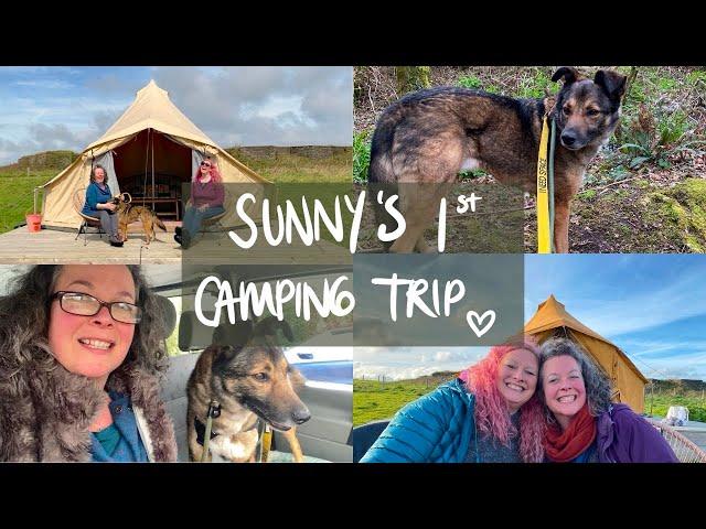 Two YouTubers go Glamping  Seaforts Cornwall at Maker Heights