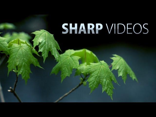 How to get sharp & detailed videos! DSLR video tutorial