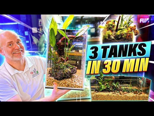 Speedscape: 3 Nano Planted Aquariums in 30 Minutes! Aquascaping with Ultum Nature Systems Tanks