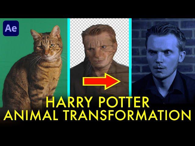 Harry Potter ANIMAL TRANSFORMATION Tutorial for After Effects