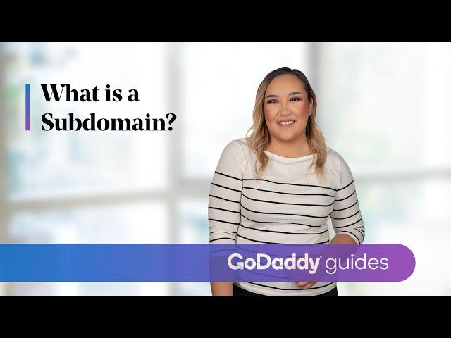 What is a Subdomain?