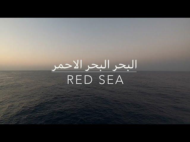 Red Sea 2022 - Brothers, Daedalus, Elphinstone (BDE) Route