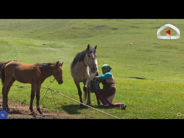 Тоң району, Арчалы айылы / БИЗДИН АЙЫЛ долбоору