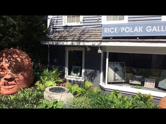 Rice Polak Gallery Salon #2 July 28 2017