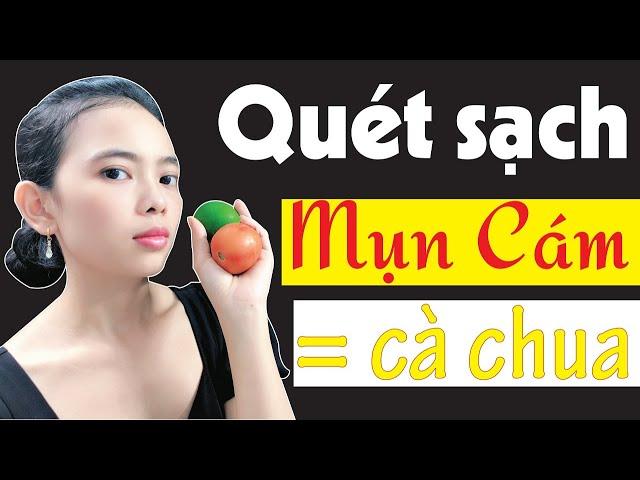 CÁCH TRỊ MỤN CÁM BẰNG CÀ CHUA giúp QUÉT SẠCH mụn cám và các loại mụn ẩn dưới da