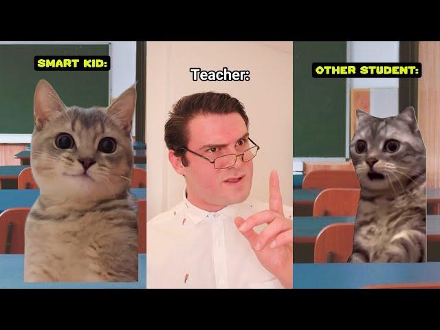 Laugh Out Loud in 8 Minutes with These CAT MEMES SHORTS!  @Ryanhdlombard Compilation #2