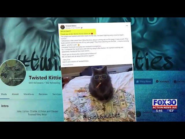 Kitties for ransom | Action News Jax