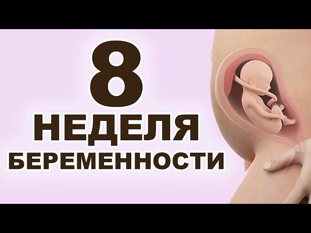 Что происходит с мамой и ребёнком на 8 неделе беременности? 2 месяц беременности. Первый триместр.