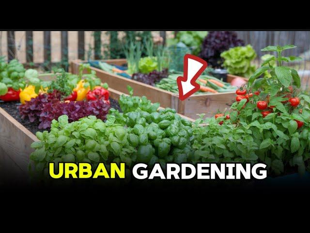 How to Start Urban Gardening - in Small space.