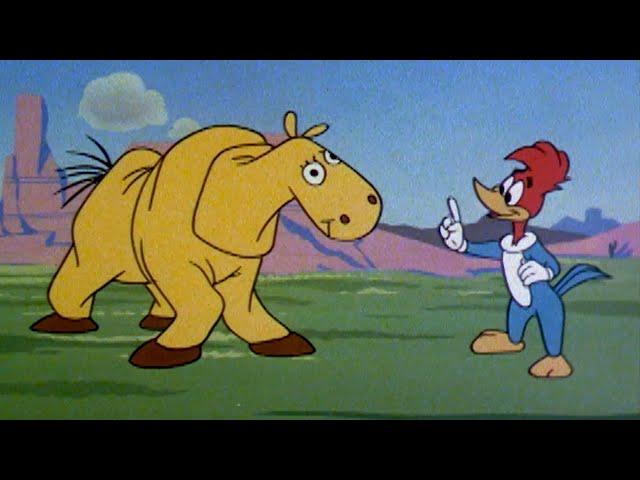 Is That A Real Horse? | 2.5 Hours of Classic Episodes of Woody Woodpecker