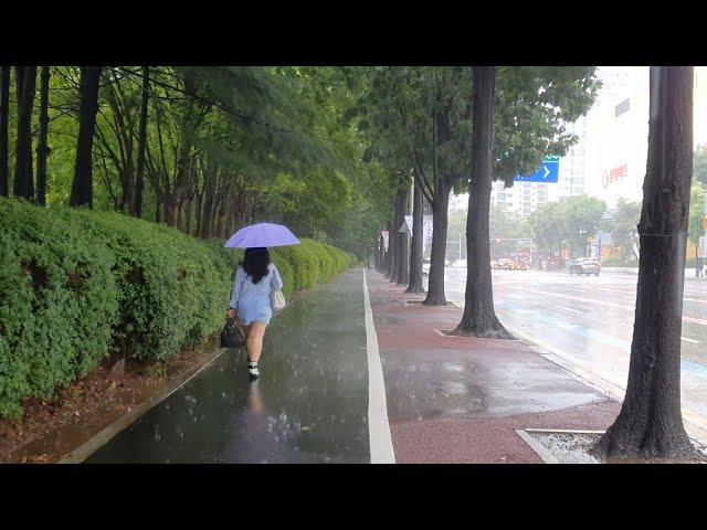 Hypnotic Heavy Rain Walk Washes All Your Worries. Relaxing Sound for Sleep Study White Noise ASMR