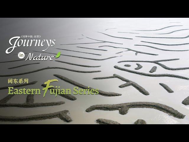 Eastern Fujian Series Ep. 3: Gifts from the sea