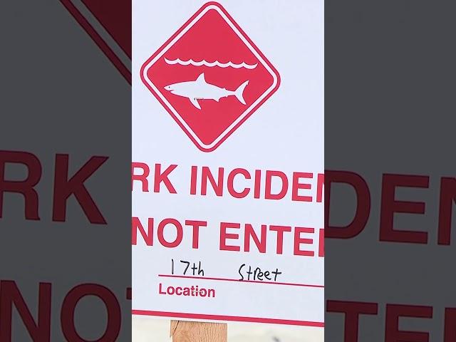 Shark attack in Southern California: Officials close Del Mar City Beach after swimmer hurt