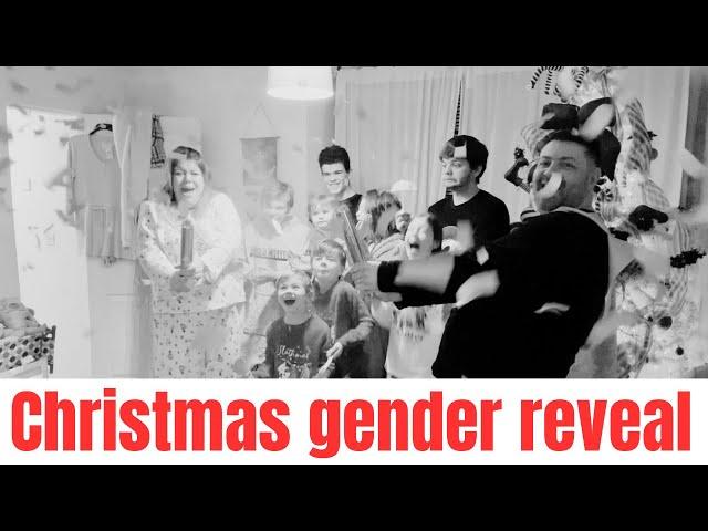 Christmas Gender reveal  Huge surprise ( boy or girl )