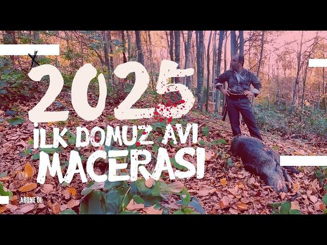 2025 İLK YABAN DOMUZ AVI - ORMAN OLUR DA DOMUZ OLMAZ MI? - 2025 WILD BOAR HUNTING ASMR FIRST 2025