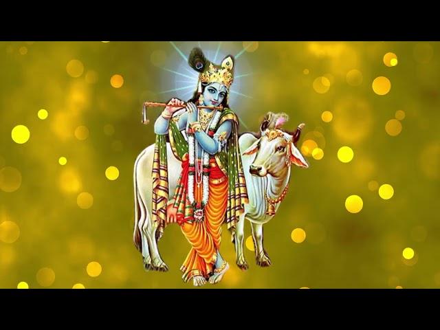 Lord Shri Krishna Template Video- No Copyright Template Background Videos @sktvdkm