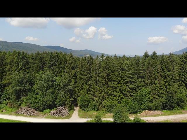 Drachselsried ( Bayerischer Wald )