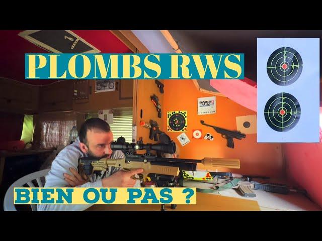 plombs RWS que valent ces projectiles ? Tir à 30 mètres avec le kral puncher 