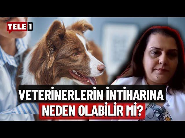 "Uyutmayı kabul etmeyenler işinden edilebilir!" Ebru Yalçın'dan 'kısırlaştırma seferberliği çağrısı'