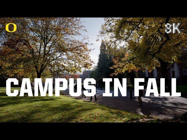 University of Oregon Campus | Fall in 8K