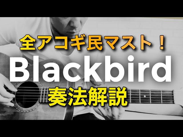 YouTubeの８割が間違っている？！ビートルズ「Blackbird」徹底解説！