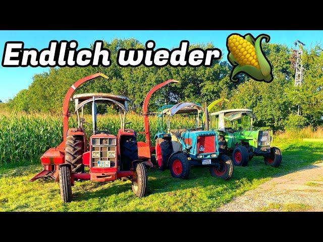 Farmvlog #383 | Alle guten Dinge sind 3!