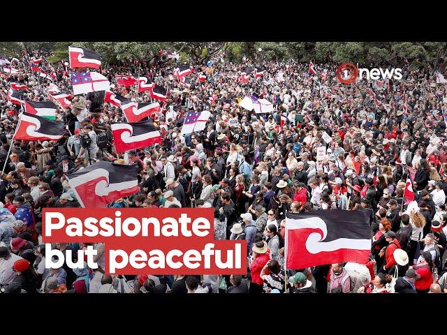 Nationwide hīkoi arrives at Parliament | 1News on TVNZ+