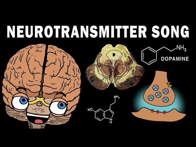 THE NEUROTRANSMITTER SONG