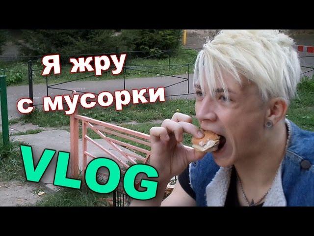 VLOG: Я жру с мусорки / Андрей Мартыненко