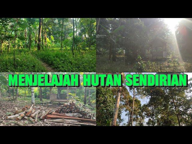 GAK BAHAYA TA‼️ KELILING HUTAN YANG SEPI SENDIRIAN