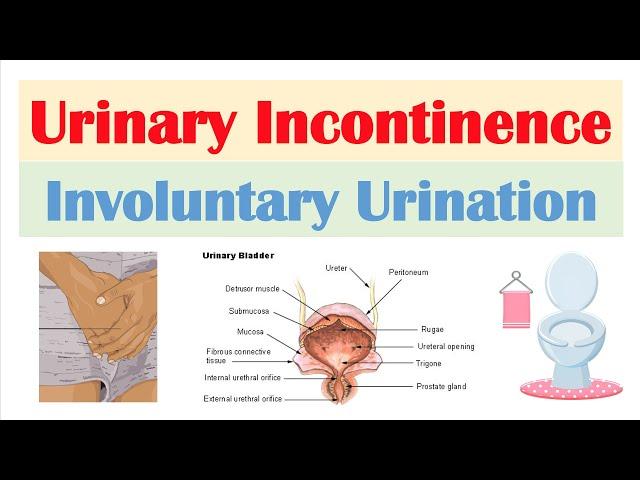 Urinary Incontinence (Stress, Urge, Overflow & Functional) | Causes, Symptoms, Diagnosis, Treatment