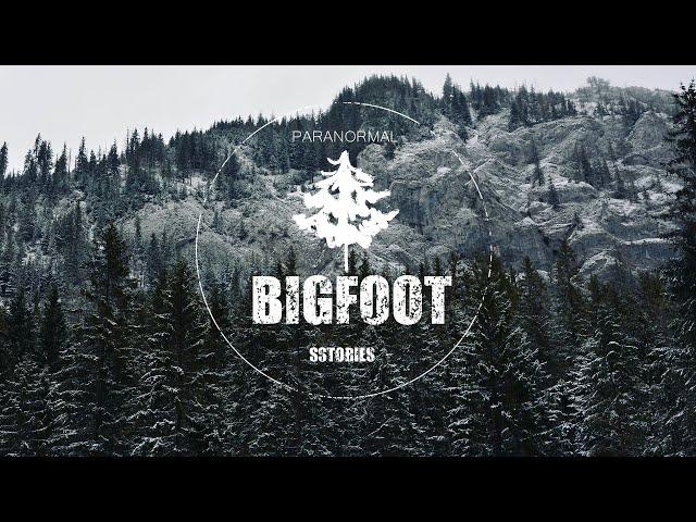 Hunter Scared For His Life In Tree Stand After Encountering Territorial BIGFOOT | SASQUATCH