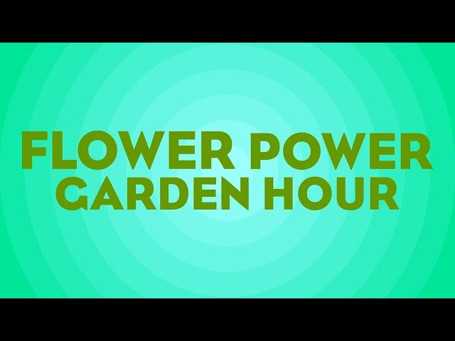 Flower Power Garden Hour 165:  San Francisco Conservatory of Flowers, with Kristen Natoli &...