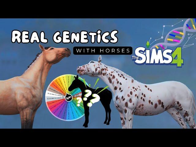 Breeding Realistic Horses in The Sims 4  Using Real Equine Genetics in TS4 Horse Ranch 