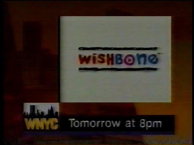 WNYC 31 Commercial Break on January 21, 1996 (60fps)