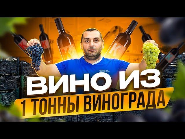 ВИНО из 1 тонны винограда (часть 1)