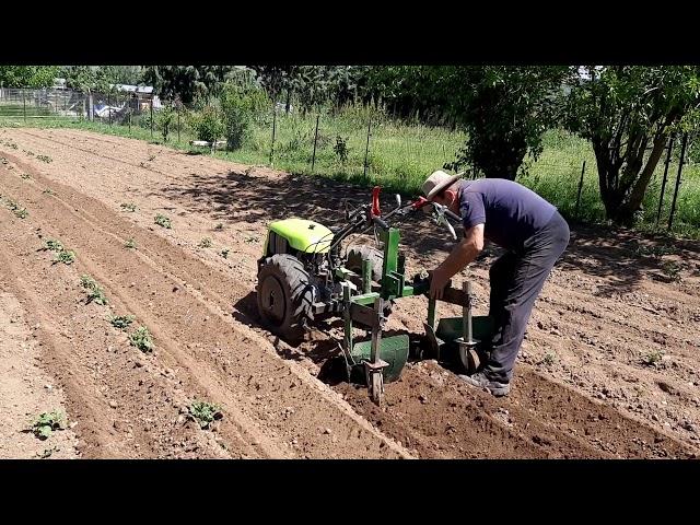 Motocultivator Grillo g107 with two furrow ridger