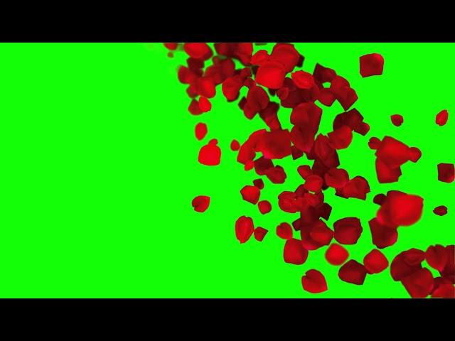 Romantic flying red rose flower petals Green Screen Video,Animated background video effects