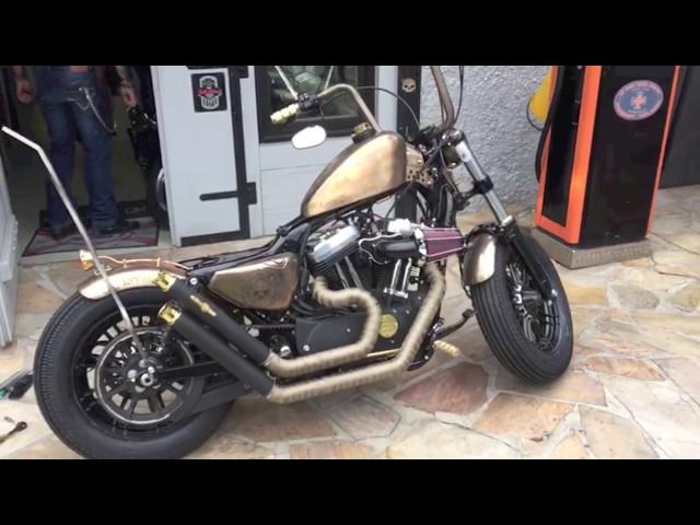 BSL HD Sportster 48 mit BSL Bobber Upswept, King Max Endcaps