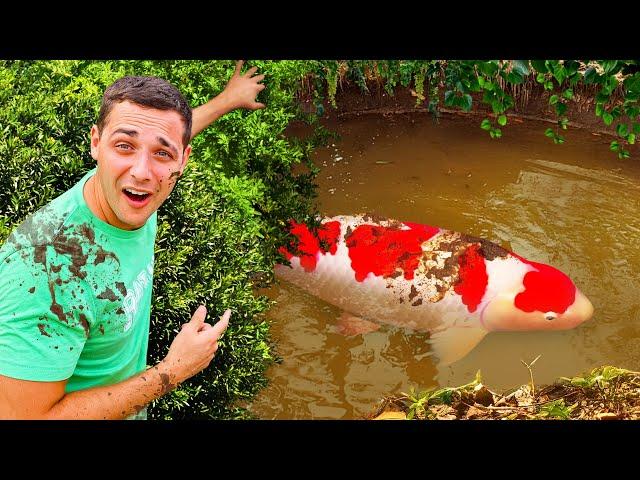 I Found Million Dollar Fish in a Mud Pond