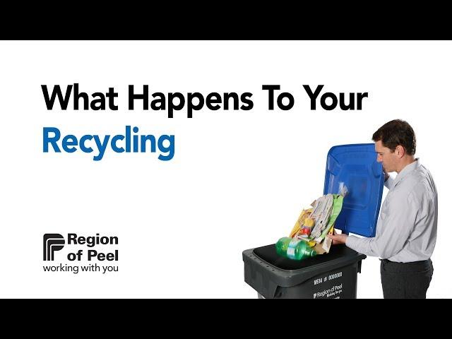 What happens to your recycling