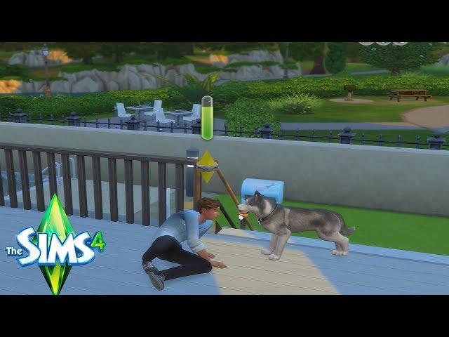 НОВЫЕ ПЕРСОНАЖИ!! ДРЕССИРОВКА СОБАКИ)THE SIMS 4