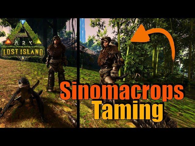 Sinomacrops easy zähmen | Lost Island | Deutsch/German