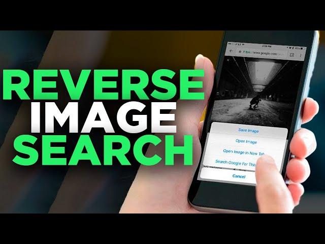 How to reverse image search on iPhone and Android (5 WAYS)