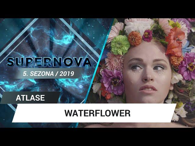 Waterflower "Grow" | Supernova 2019 ATLASE