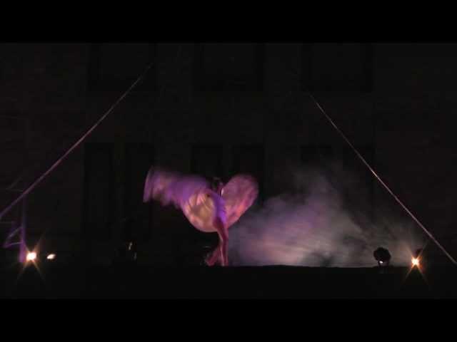 Quixotic Fusion | Dancing in the Street Festival 2011 - Promo