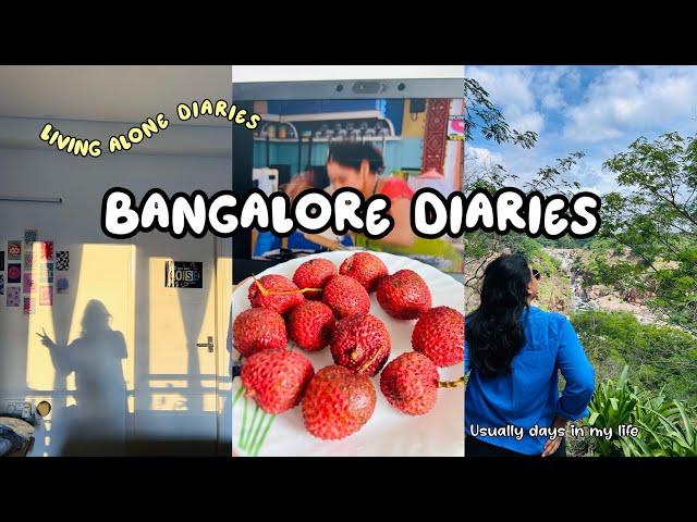 Bangalore Diaries ️usual days in my life #livingalonediaries #bangalorevlogs