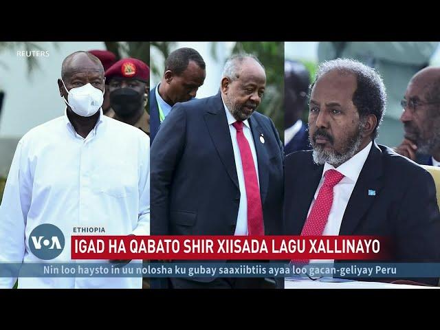 Itoobiya oo IGAD ka dalbatay shir ku saabsan xiisadda Soomaaliya